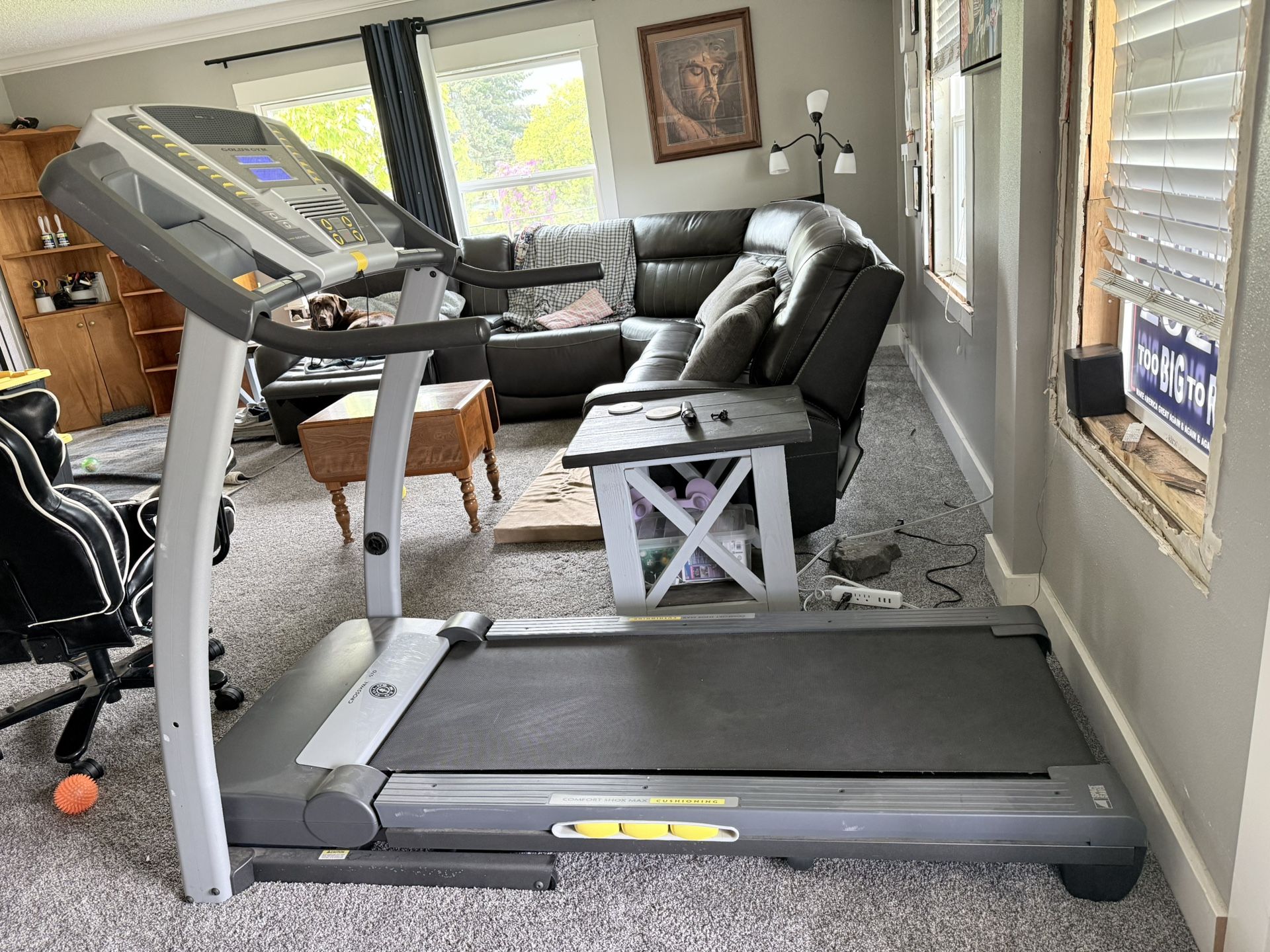 Gold gym Treadmill