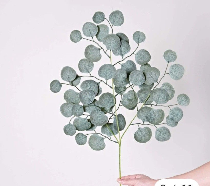 Frosted Eucalyptus/faux Greenery