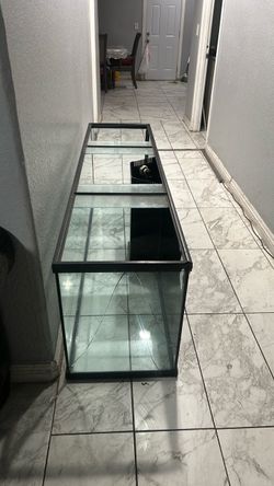 100 gallon tank