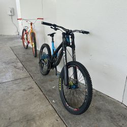 Devinci Wlsn
