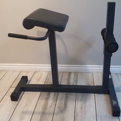Roman Chair Hyper-Extension Home Workout Multipurpose Bench JD-3.1