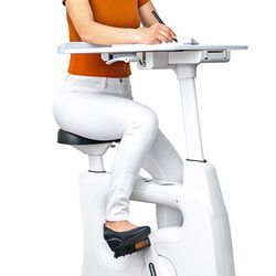 FlexSpot Exercise Desk - Perfect Condition