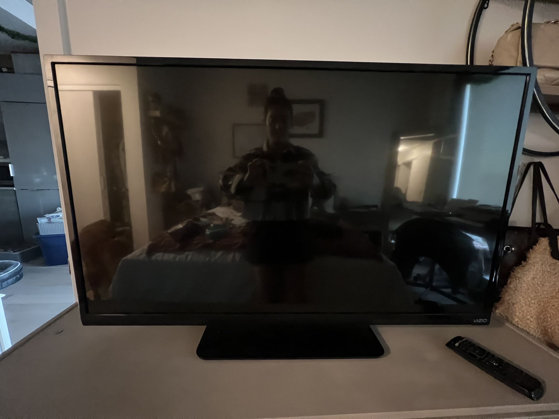 43” Vizio Smart TV W/remote