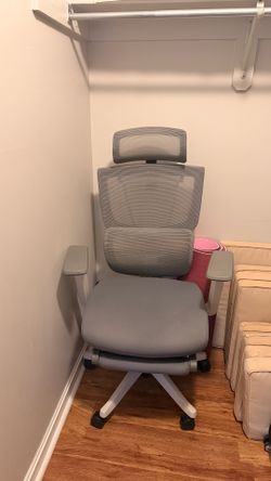 Flexispot ergonomic chair