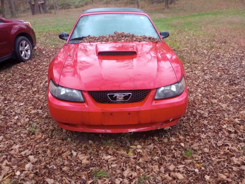 2003 Ford Mustang