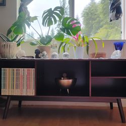 Table/Plants 