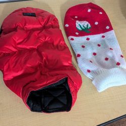 Pet Jacket & Strawberry Sweater Size M