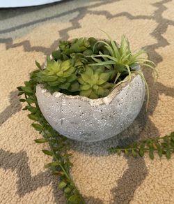 Faux succulent piece decor