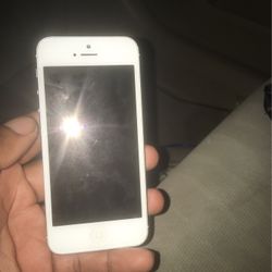 *Boynton Beach Only* iPhone 5