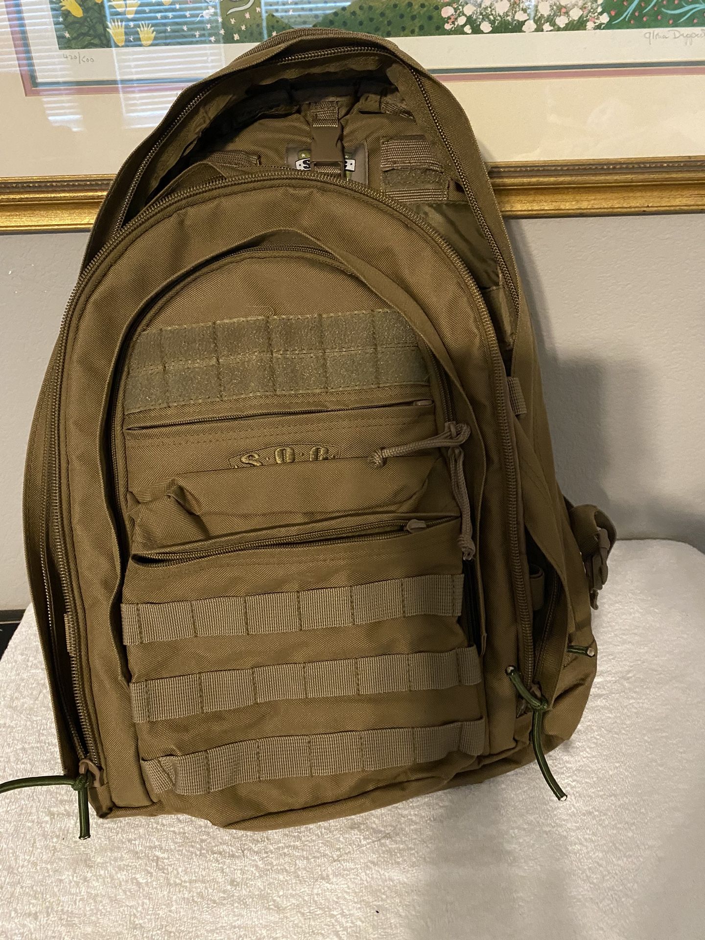 Military Backpack $20