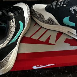 Nike Air Max 1 Atmos
