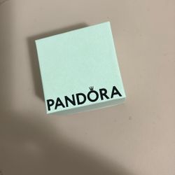 Pandora Charm 