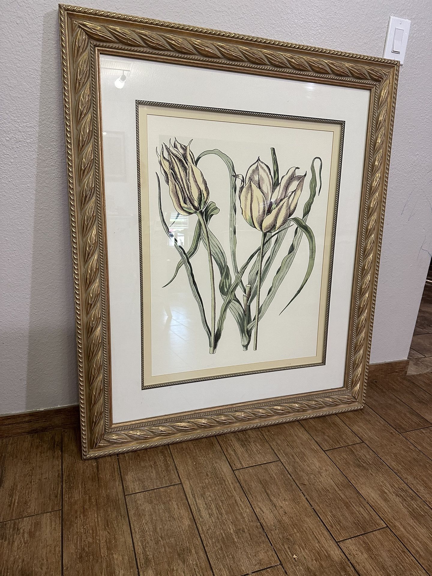 Huge Tulip Botanical Print: Curtis Floral Original