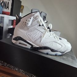 Jordan 6s