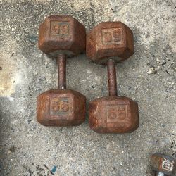 55 Pound Dumbbells 