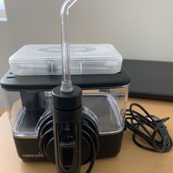 Waterpik Ion Professional Water Flosser