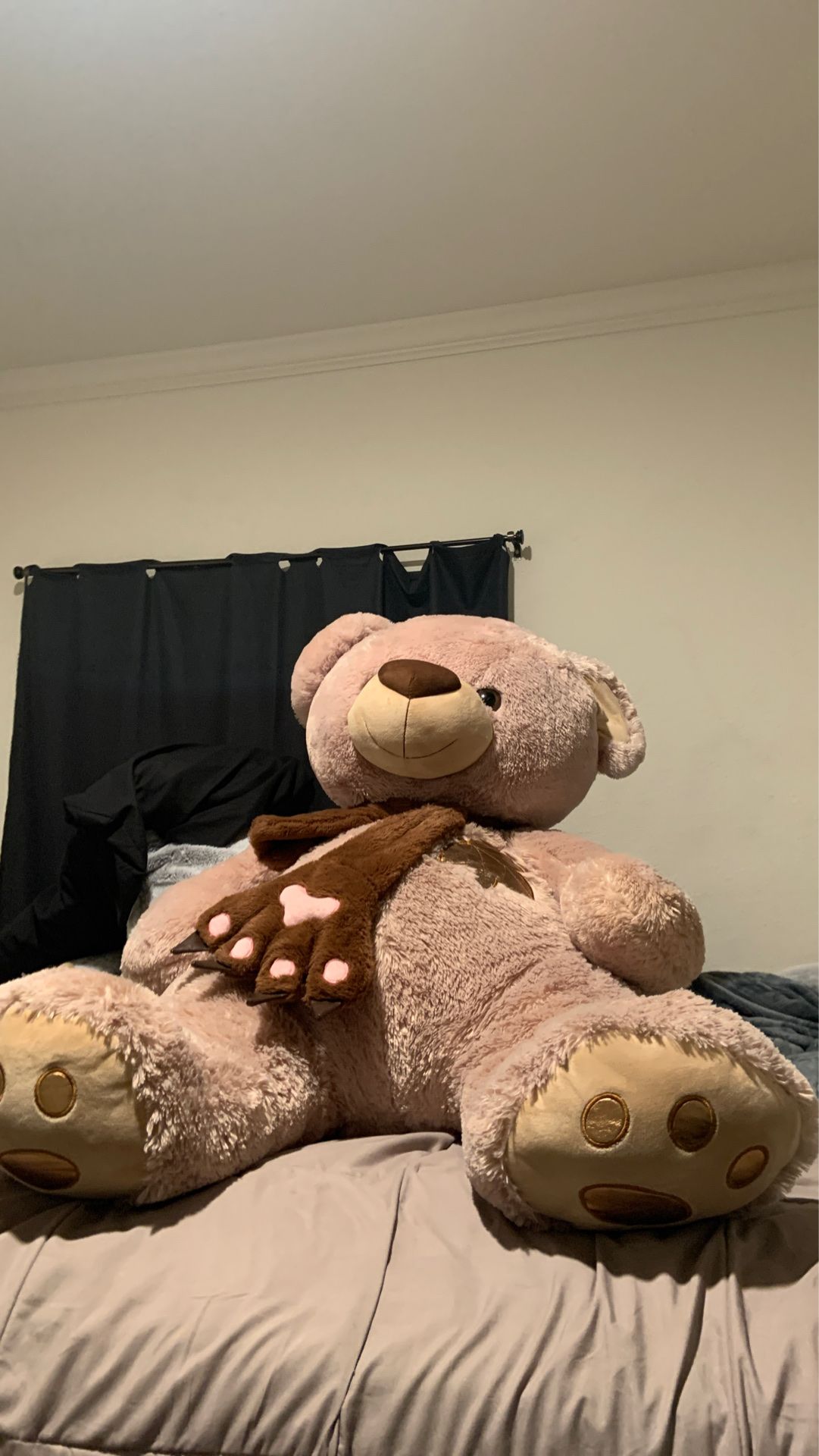 Big teddy bear 🧸 3 .5 feet tall ?