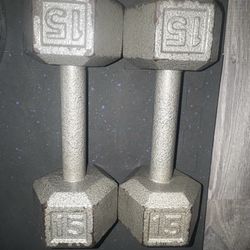Pair of 15lb dumbbells