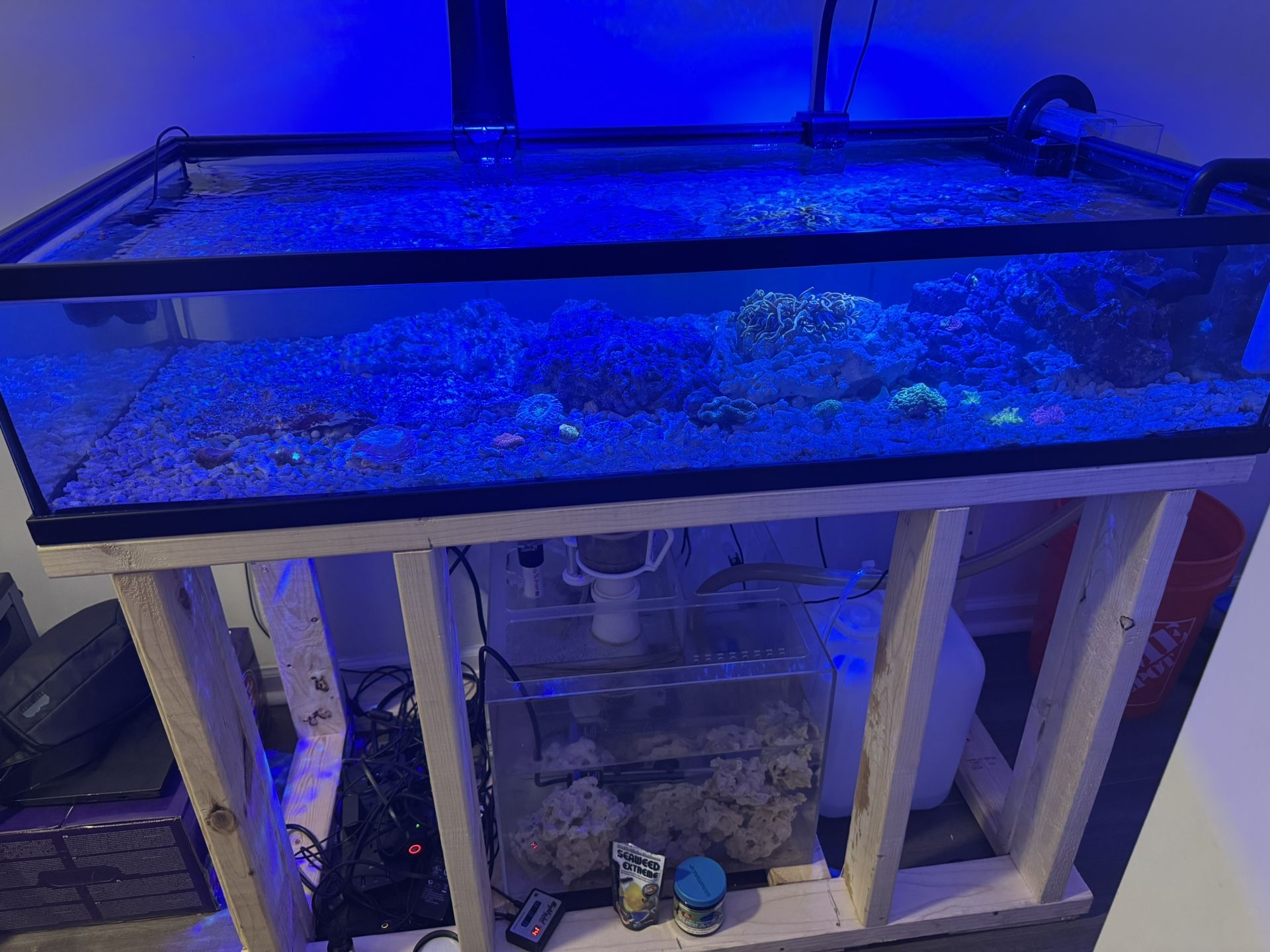 50 Gallon Aquarium