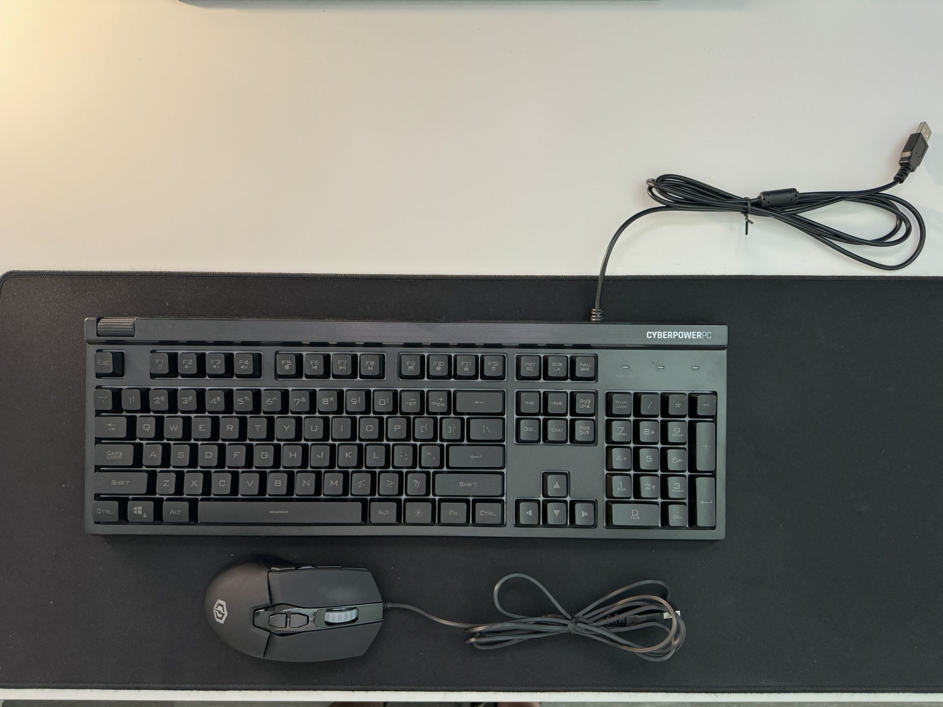 CyberPower Keyboard and Mouse