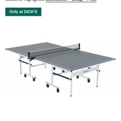 Ping Pong Table 