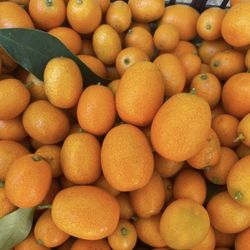 Home Grown Organic Kumquat $6/lb 2026 Season