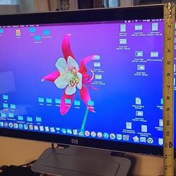 24 Inch HP Monitor 