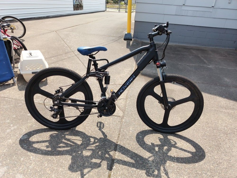 Electric Bike