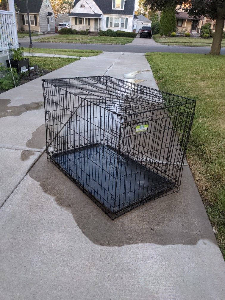 42 Inch Double Door Dog Crate
