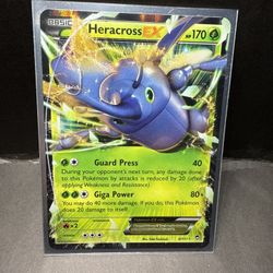 Heracross Ex