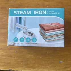 Steam Iron