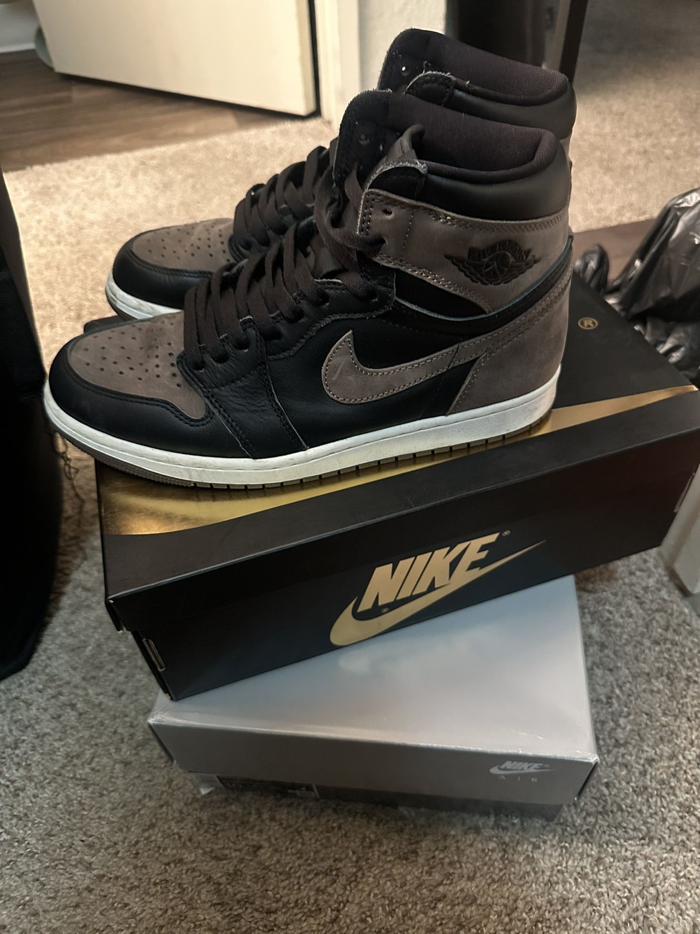 Palomino Jordan’s