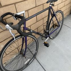 Trek Road Bike Carbon Fiber Series