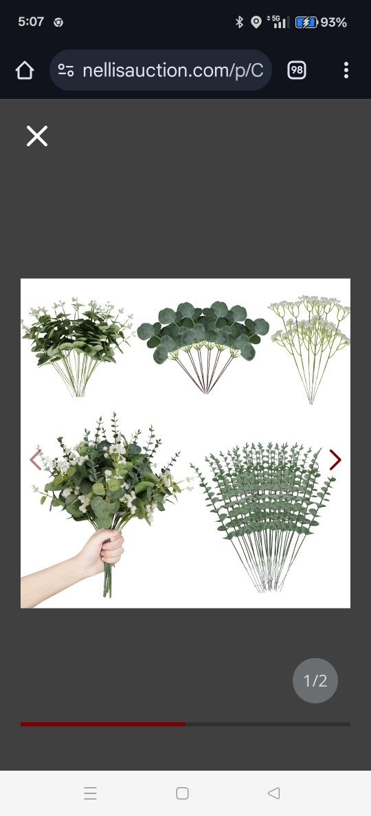 120 Pcs Artificial Eucalyptus, babys breath, silver dollar