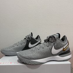 Nike Zoom LeBron NXXT Gen Wolf Grey DR8784-004