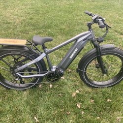 Himiway Zebra All Terrain Premium Fat Tire Electric Bike