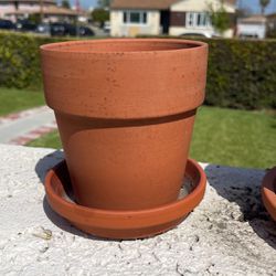 Plant Pot & Tray 