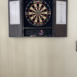 Pro Dart Board