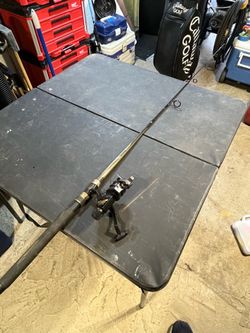 Quantum Magnum Plus Fishing Rod w/Shimano FX200 Reel