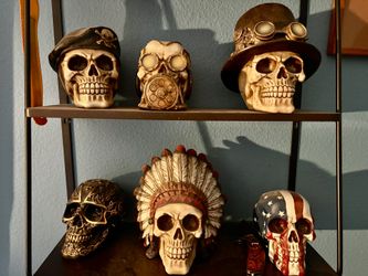 Decorative Skull Collection 