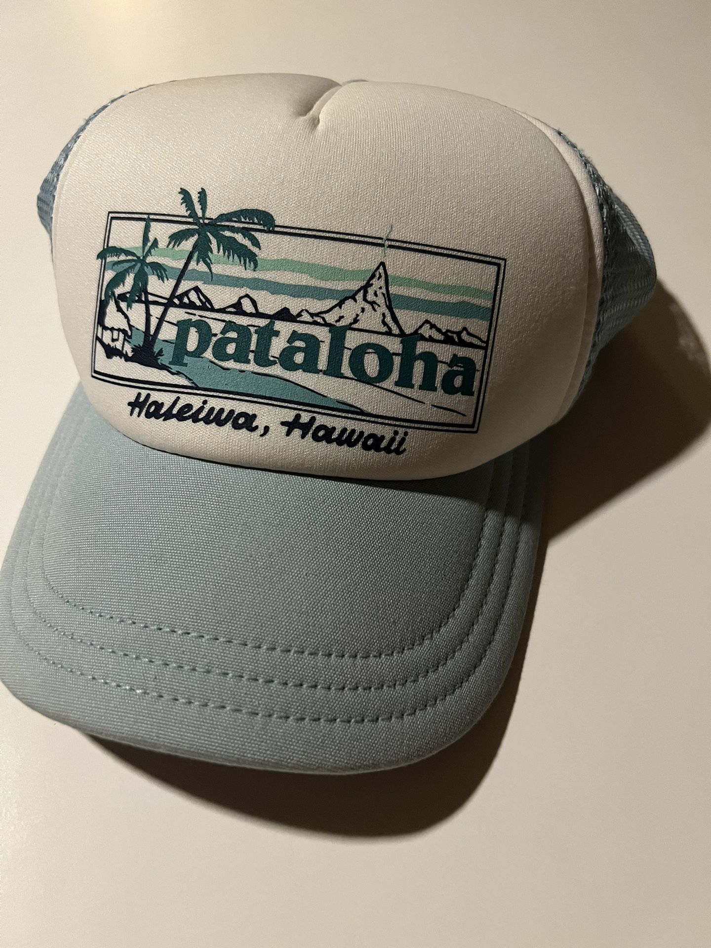 Rare Patagonia Pataloha womens snapback light blue hat