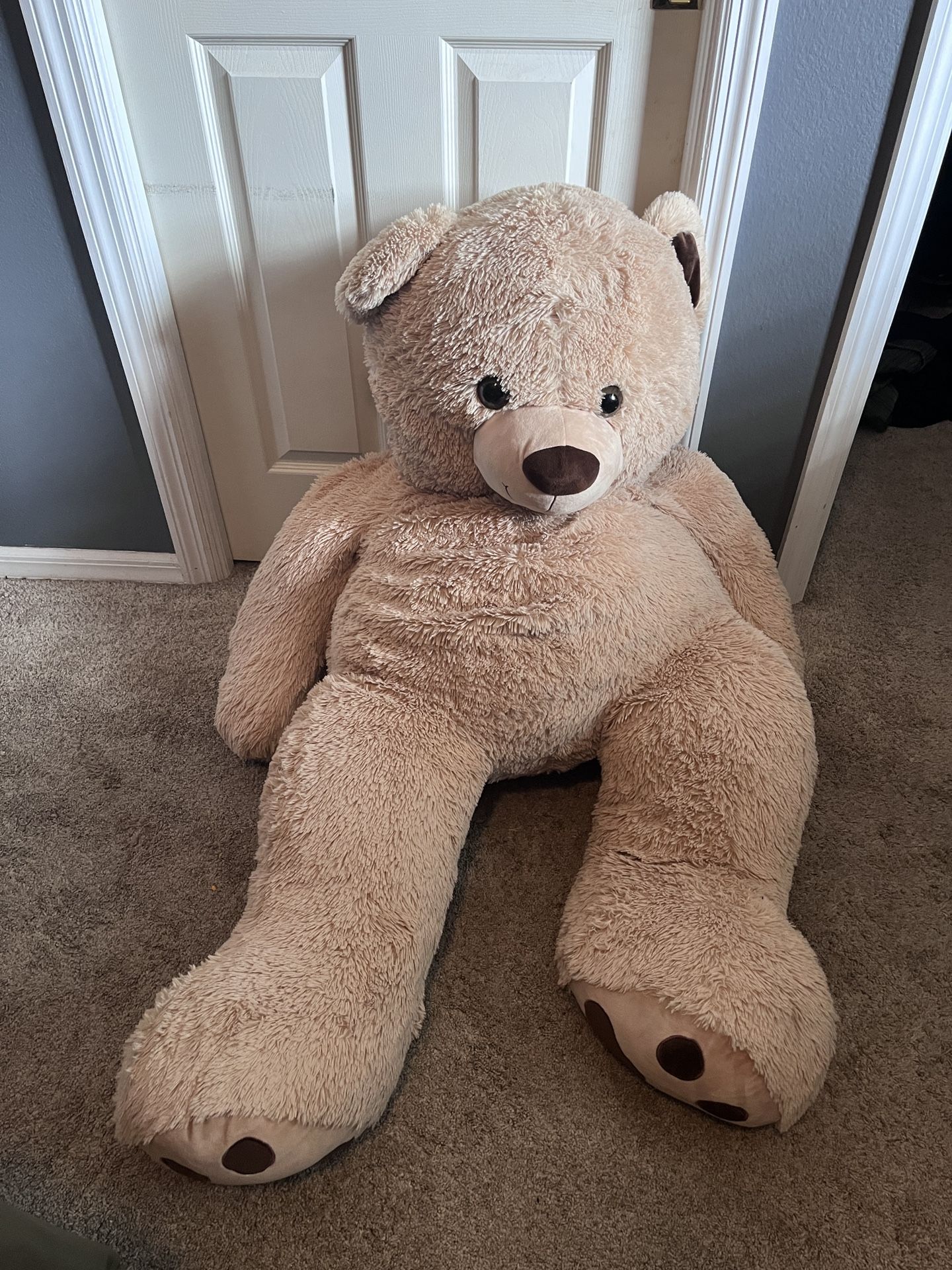 Huge Teddy Bear