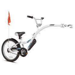 WeeRide Co-Pilot bike