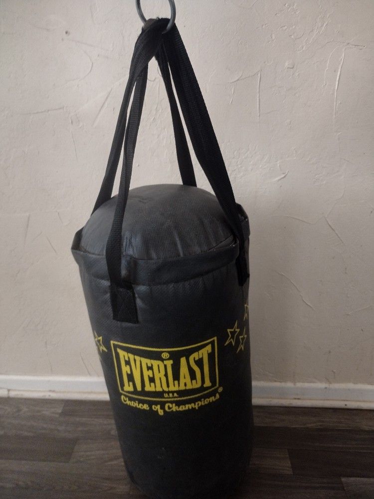 Everlast Punching Bag