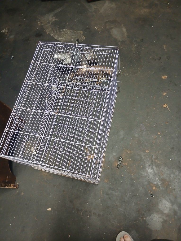 Bird cage.
15