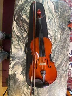 14.5 Viola Solid