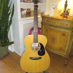 1976  Sigma (by Martin)  rosewood body 00 guitar