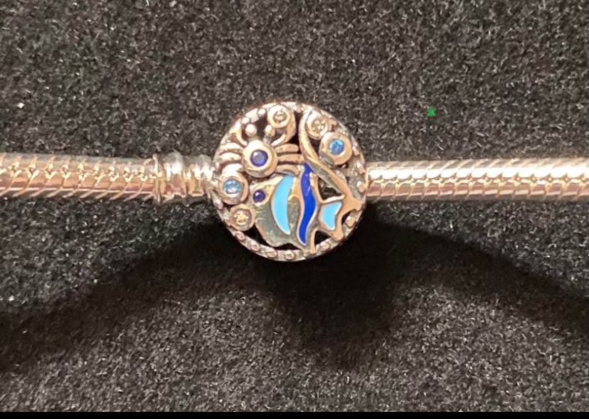 Fish Silver Charm