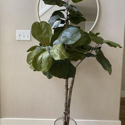 Fake Fiddle Leaf Plant 