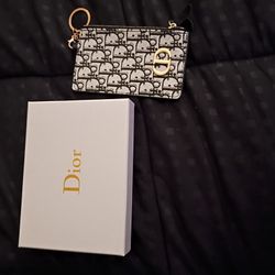 Dior Pouch